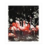 Flamingoes Under The Banyan Tree (Print Only) thumbnail