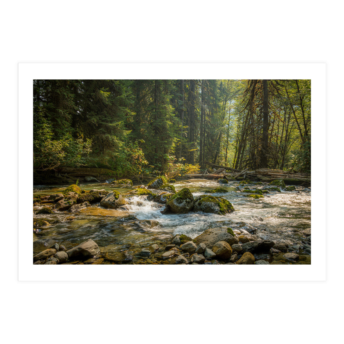 Cascade River (Print Only)