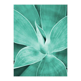 Agave (Print Only) thumbnail