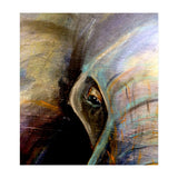 Kind Eye (Print Only) thumbnail