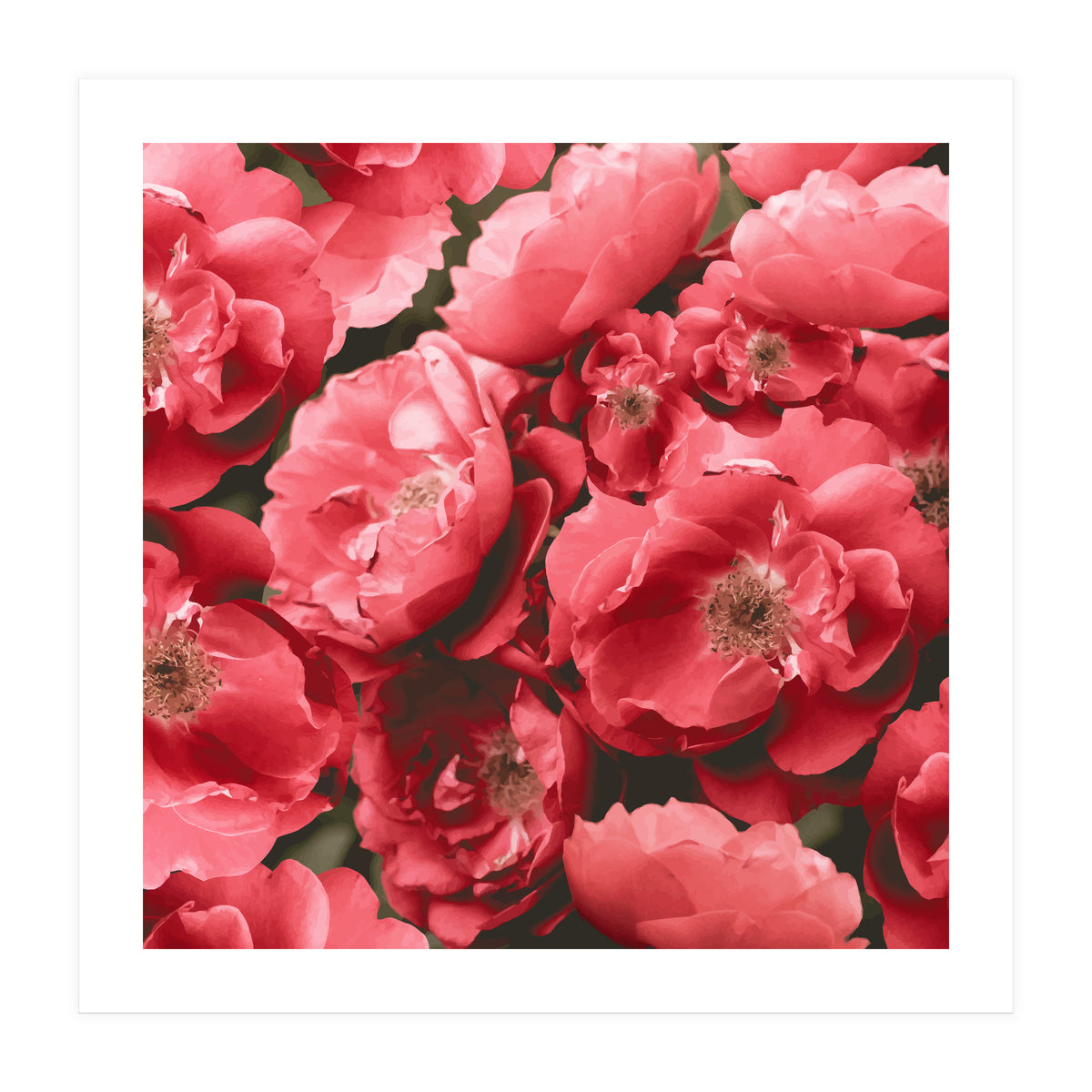 Christina (Print Only)