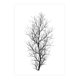 The Tree Black (Print Only) thumbnail