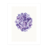 Cc Flower 01 (Print Only) thumbnail