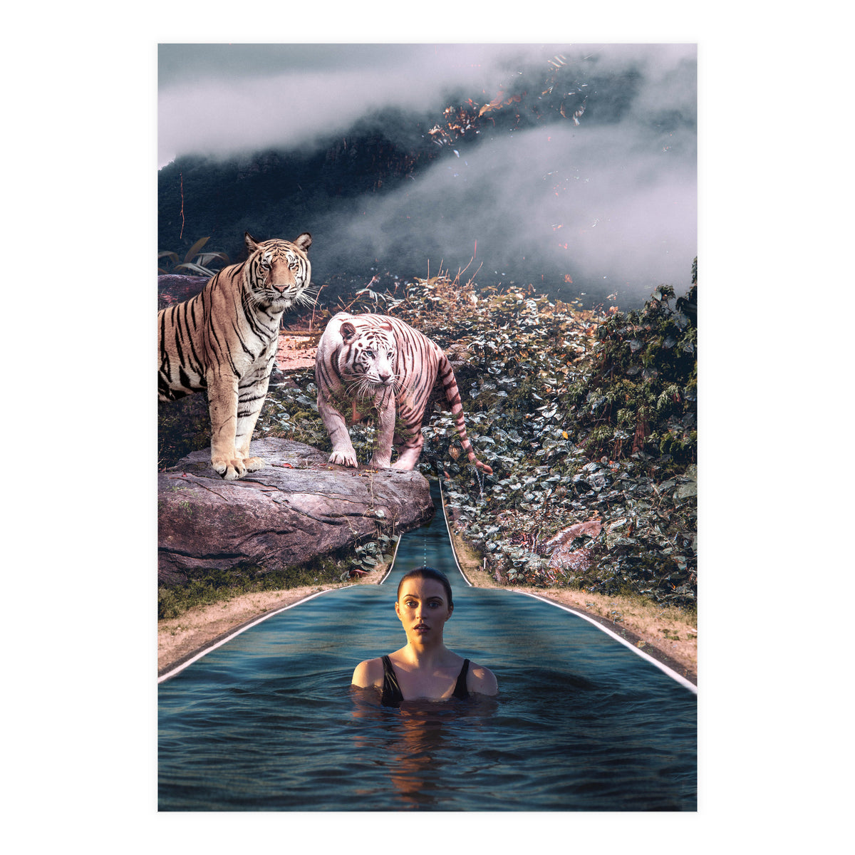 Infinite Pool To Tiger Jungle (Print Only)