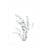 Eucalyptus Branch (Print Only) thumbnail