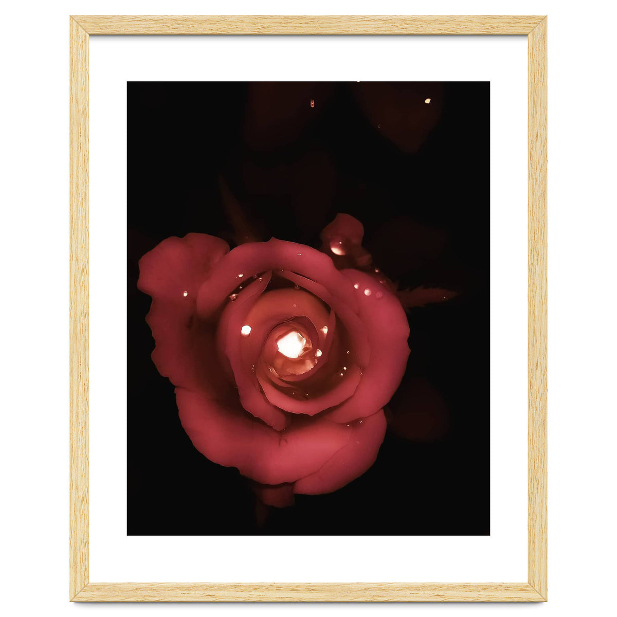 Lighting Rose