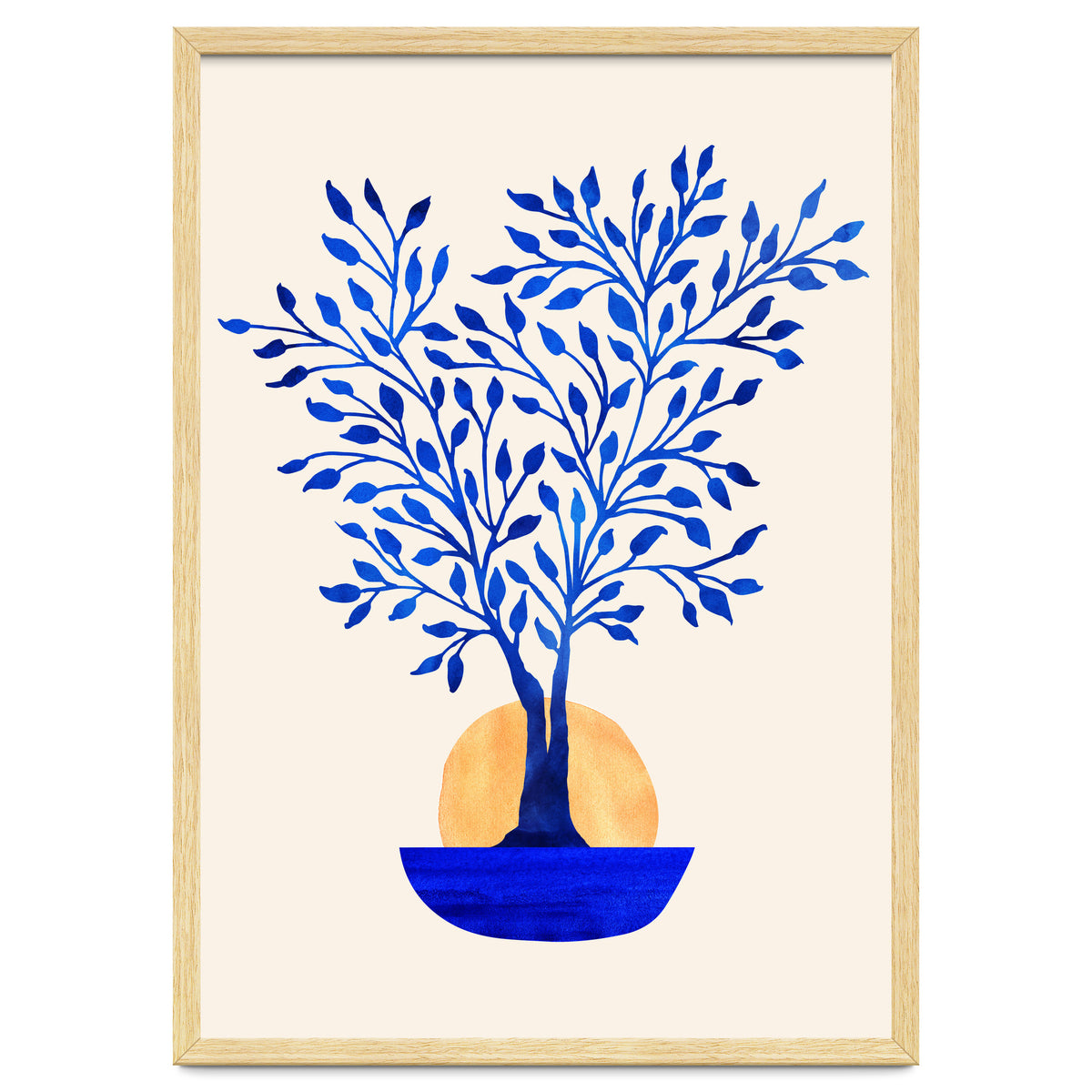 Indigo Ficus Sunrise