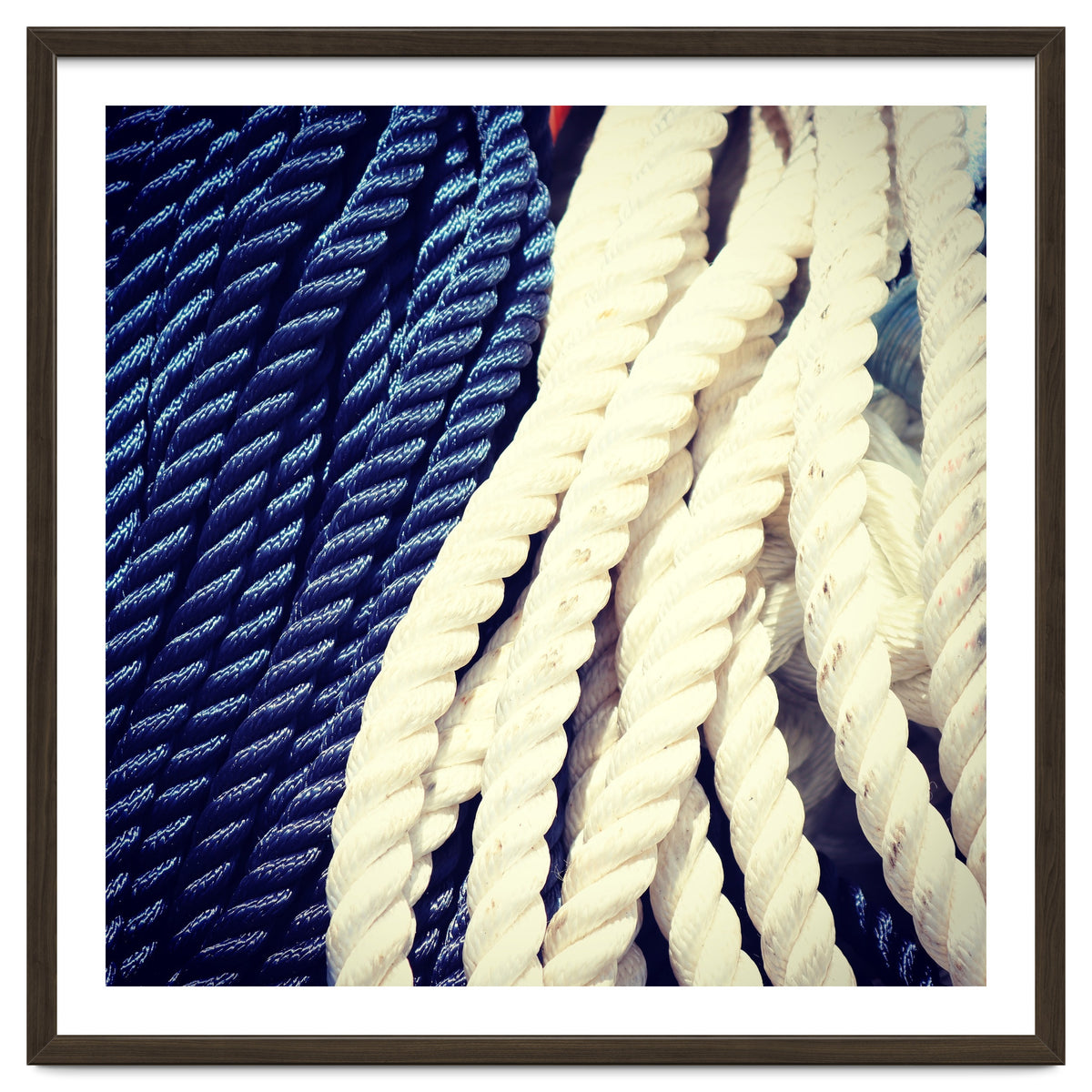 Blue and white fishing rope