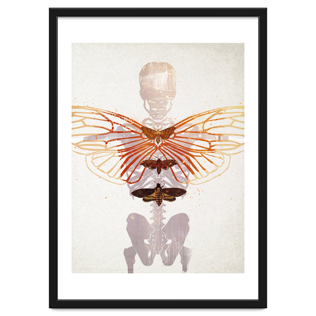 Ikarus - Like a Moth to the Flame