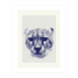 Lioness 2018 (Print Only) thumbnail