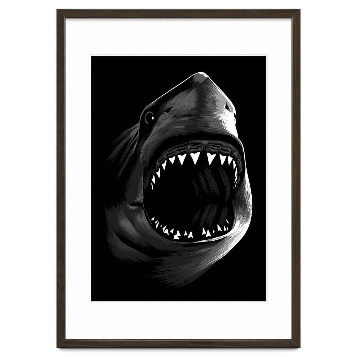 Megalodon