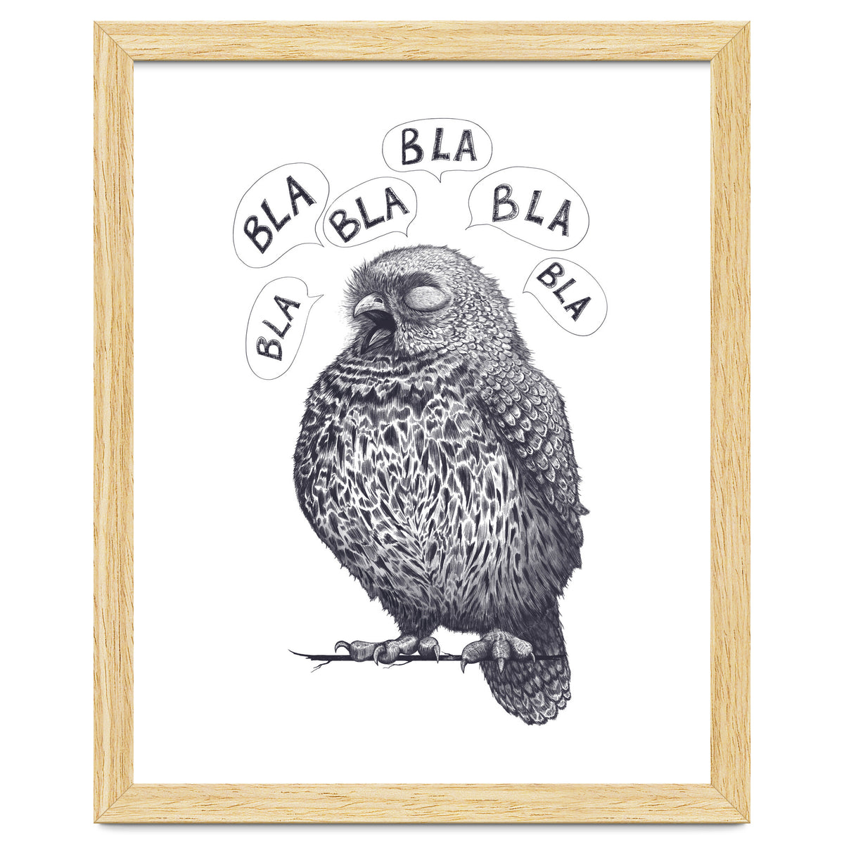 Owl Bla Bla Bla