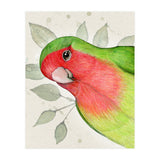 Curious lovebird (Print Only) thumbnail