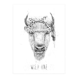 Wild One (Print Only) thumbnail