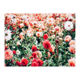 Meadow (Print Only) thumbnail