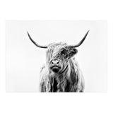 Portrait of a Highland Cow II (Print Only) thumbnail