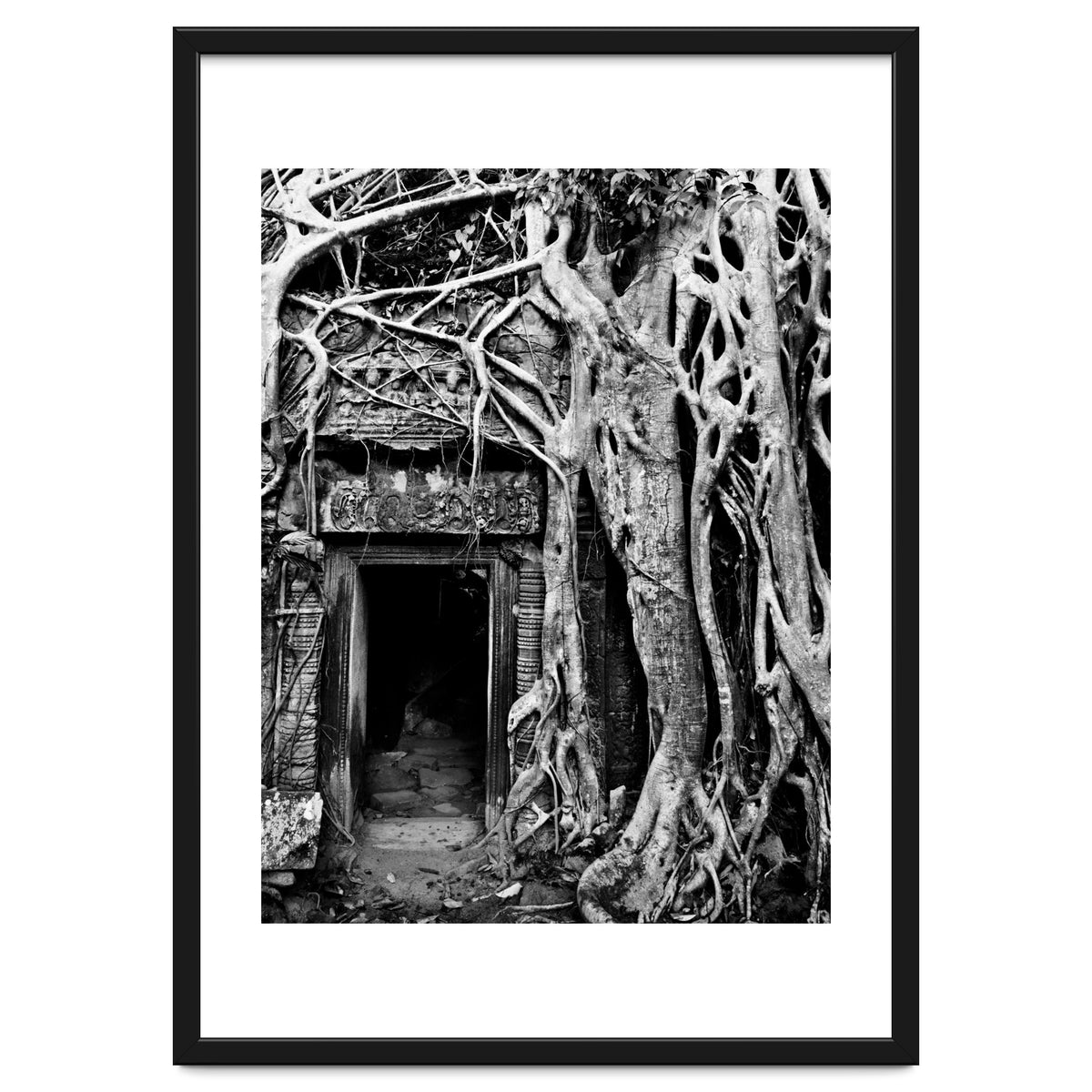 Ta Prohm Temple, Cambodia