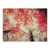 Scarlet (Print Only) thumbnail