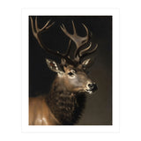 Stag Classical Oil Painting (Print Only) thumbnail