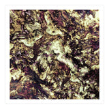 Surface Preparation (Print Only) thumbnail