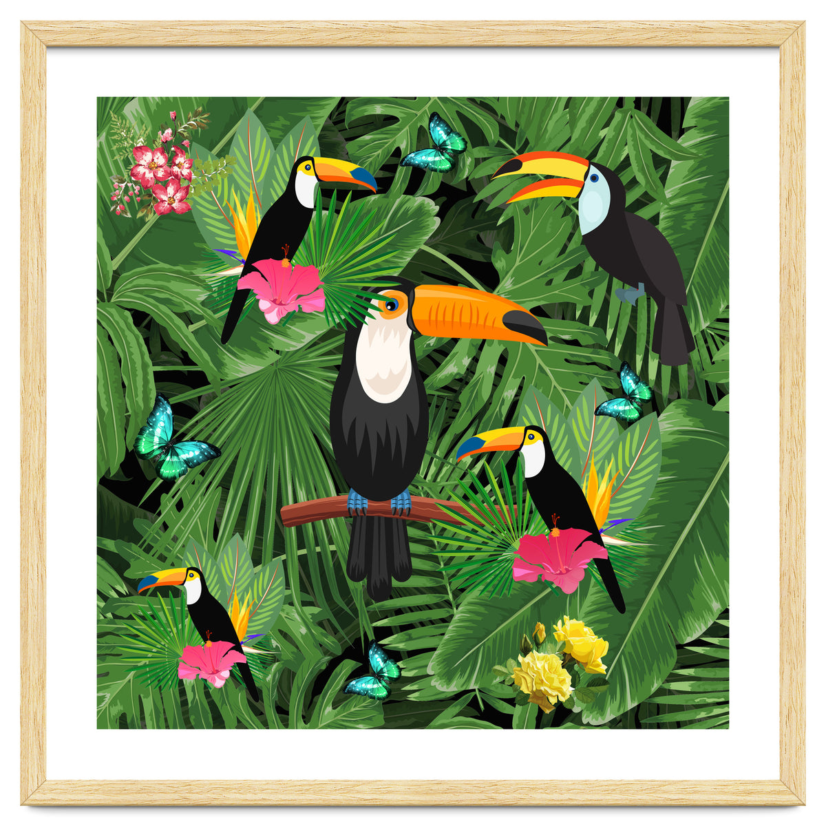 Toucan