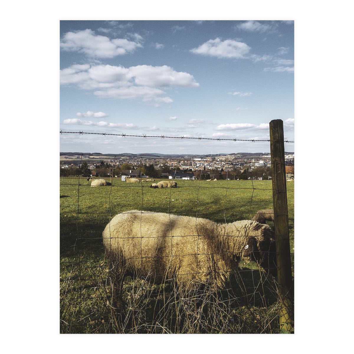 Bucolism 5 (Print Only)