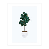 FIddle Leaf Fig gold and green (Print Only) thumbnail
