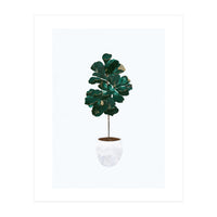 FIddle Leaf Fig gold and green (Print Only)