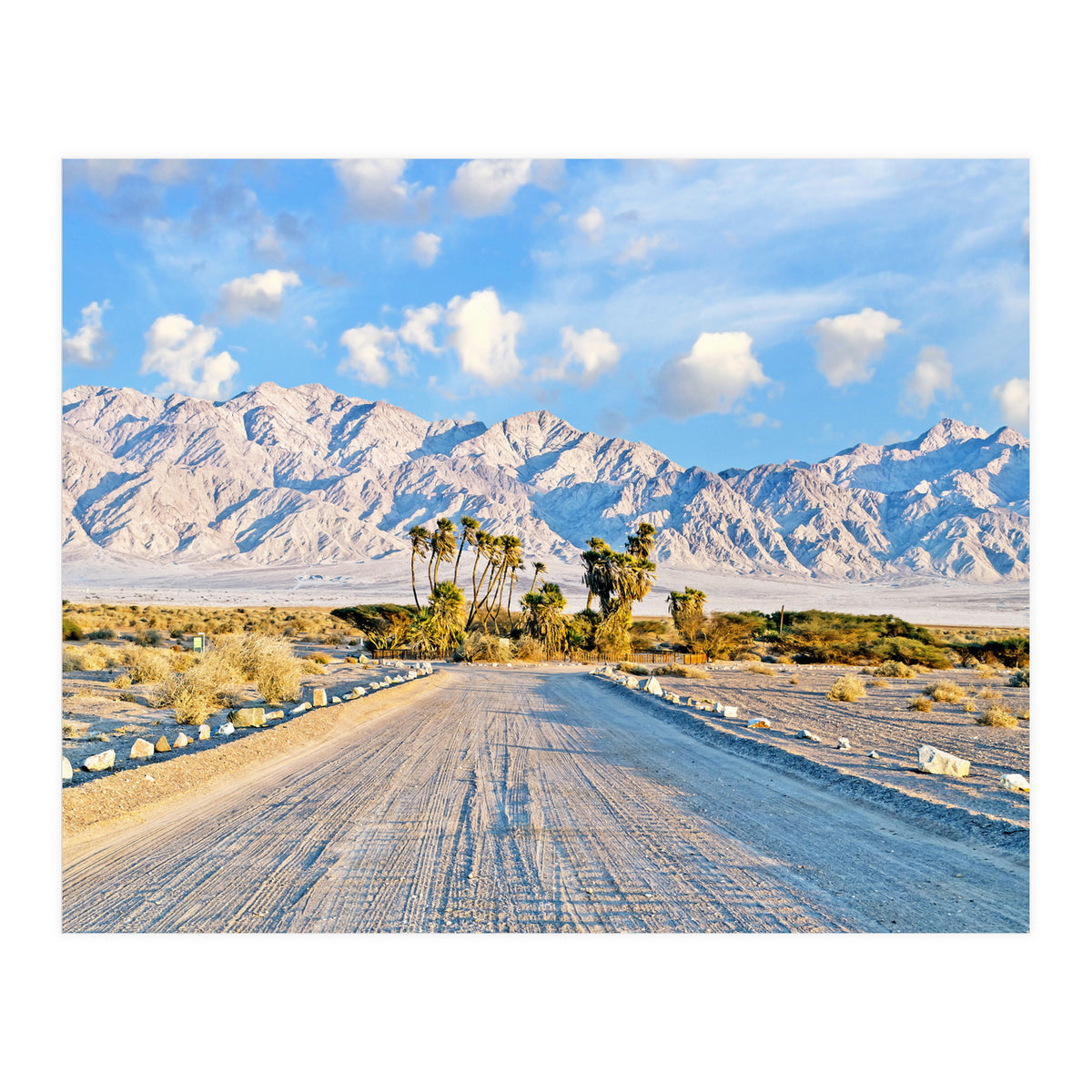 Summer Scenic (Print Only)