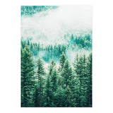 Forest And Fog (Print Only) thumbnail