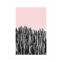 Cactus B&W & Sunset (Print Only)
