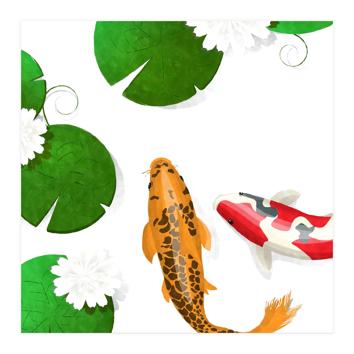 Koi fish background (Print Only)