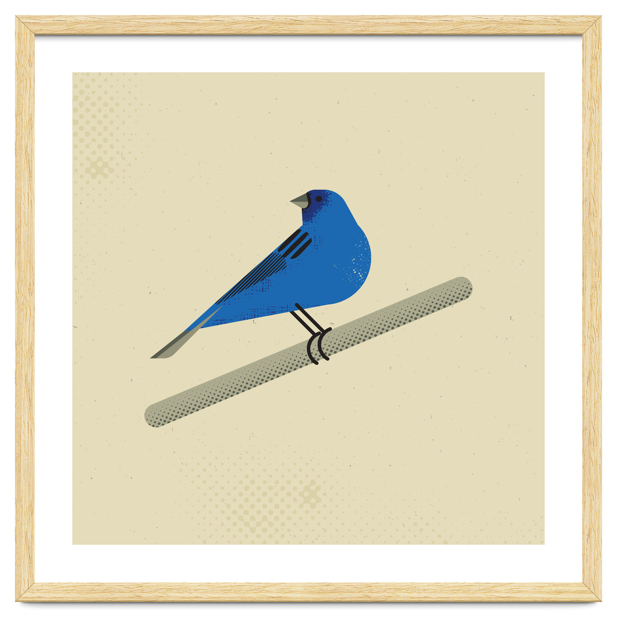 Indigo Bunting