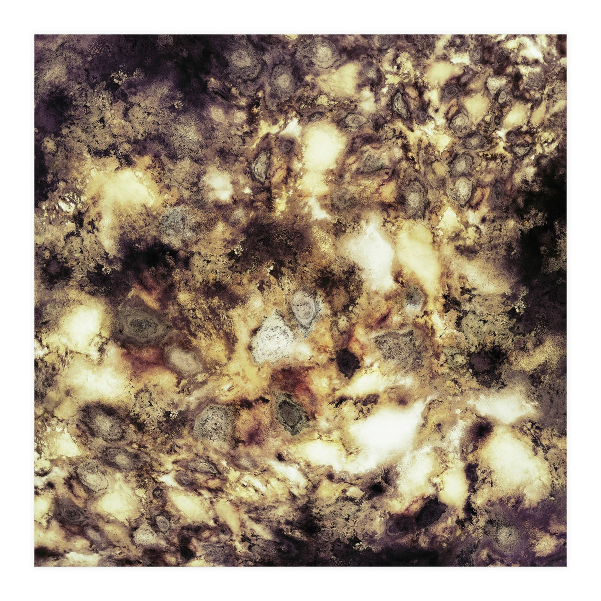 Demolition (Print Only)