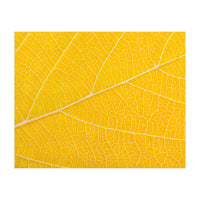 Autumn Leaf (Print Only)