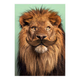 Bearded Lion (Print Only) thumbnail