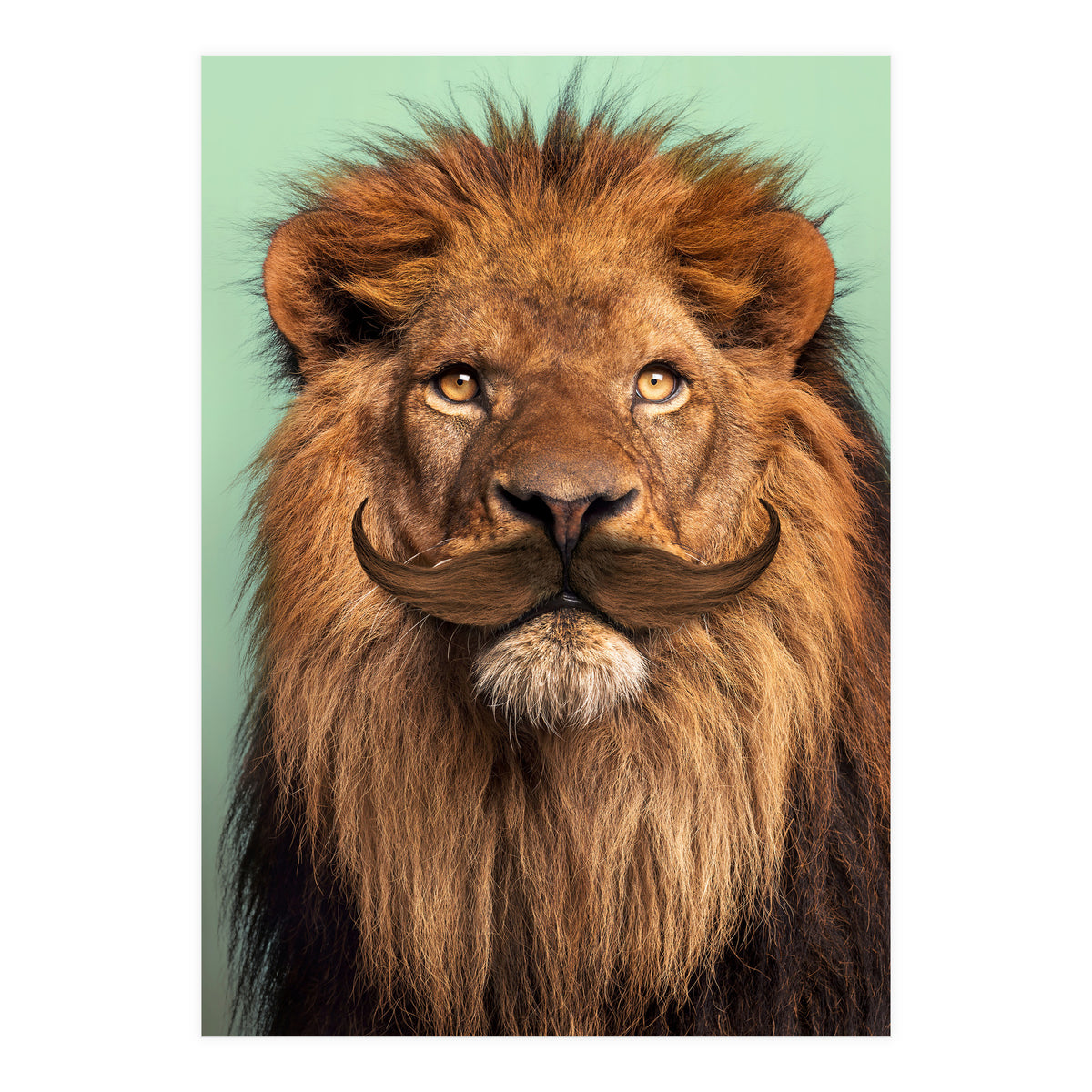 Bearded Lion (Print Only)