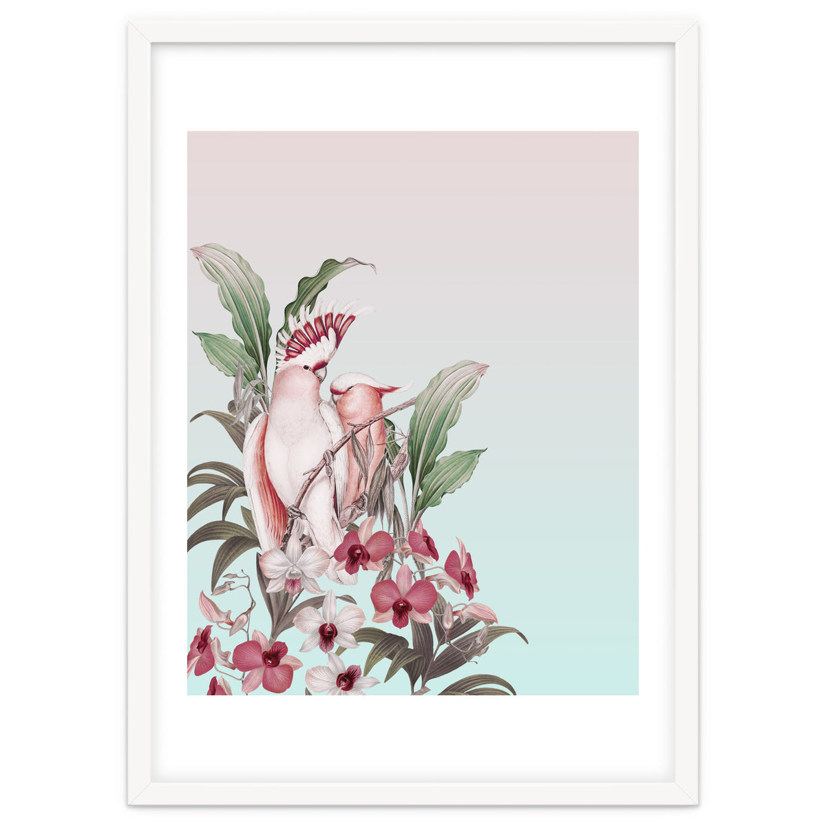 Pastel Cockatoos Paradise