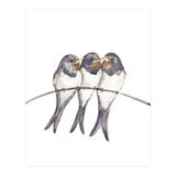 Three young swallows (Print Only) thumbnail