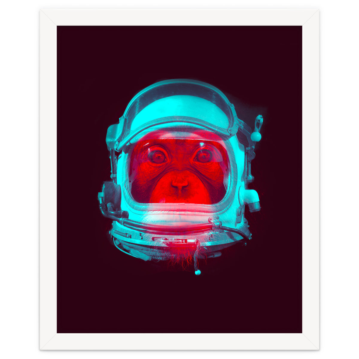 Astronaut