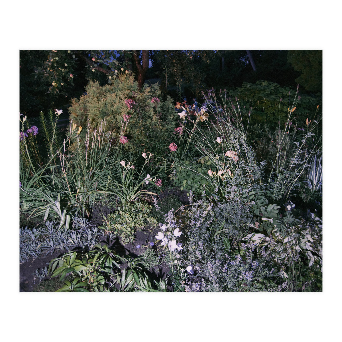 Picture Postcard Perfect (Print Only)