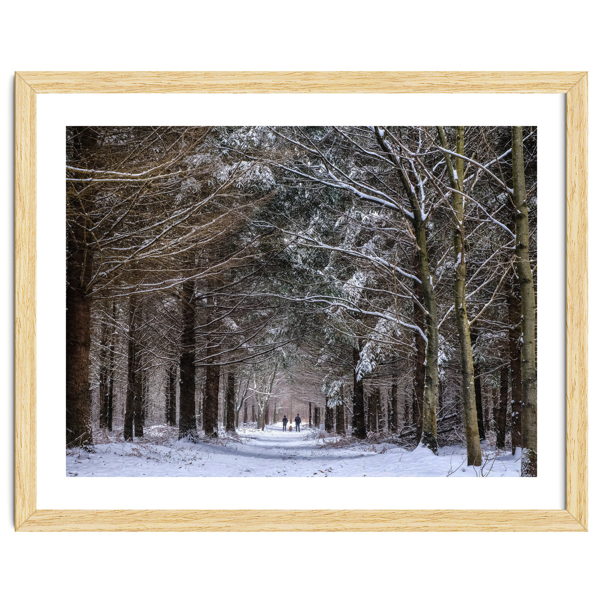 Dog Walkers in the Snow.  Heath Warren - Hampshire