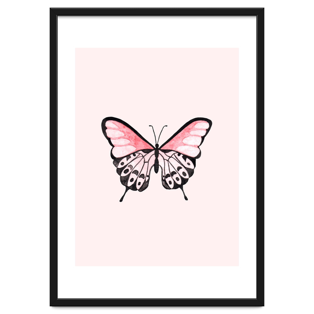 Pink Butterfly