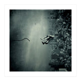 Vacation (Print Only) thumbnail