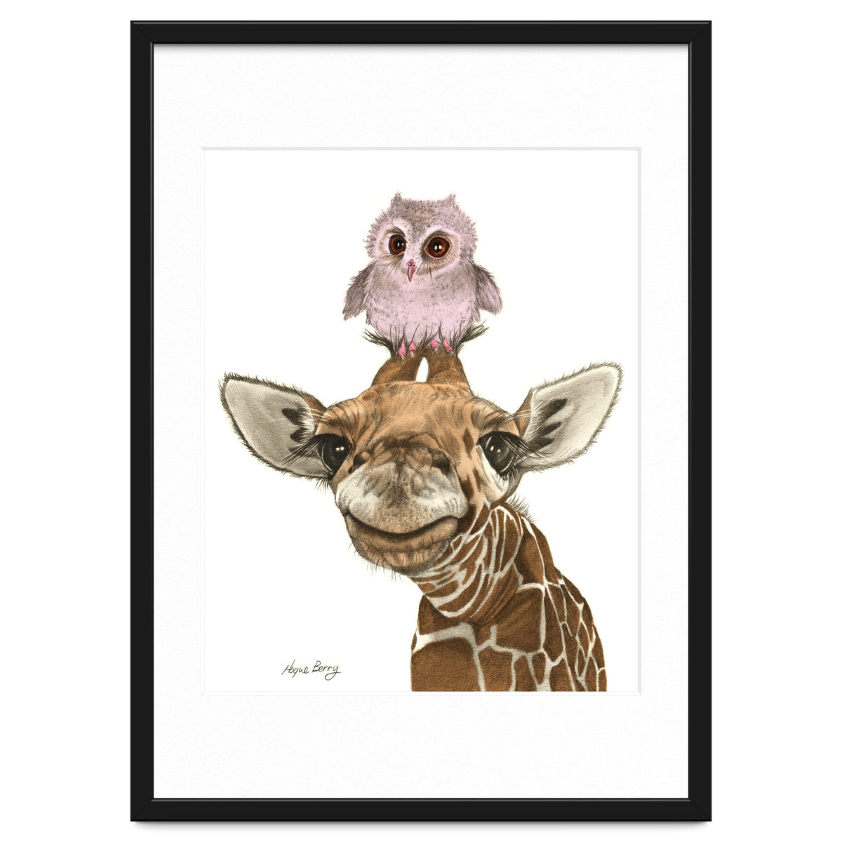 Giraffe and Owl