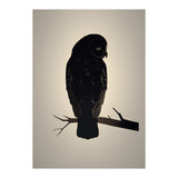 Owl Minimalist Picture (Print Only) thumbnail