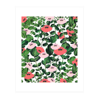 Parsnip & Poppies (Print Only)