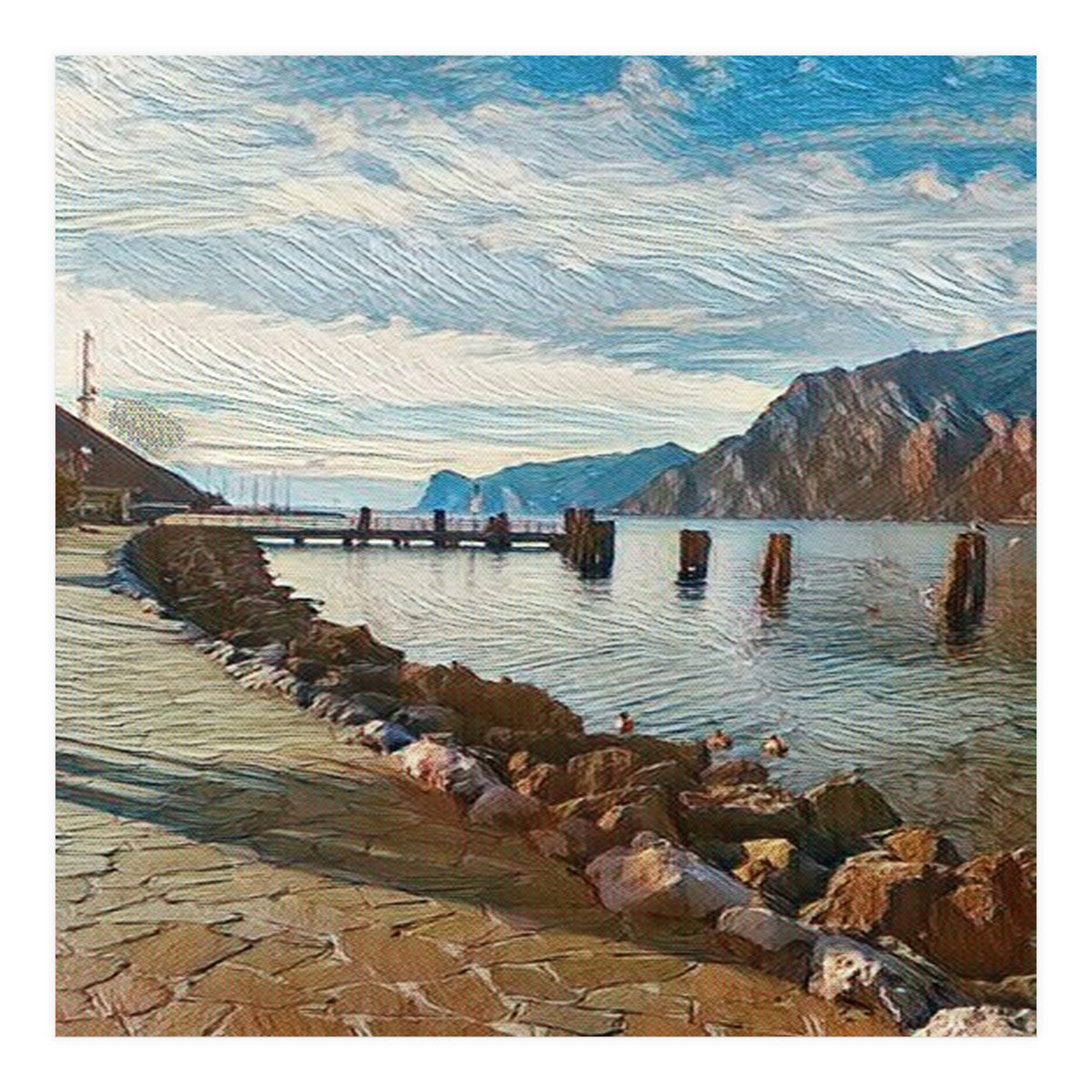 Ducks on Lake Garda, Italy. (Print Only)