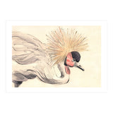 Crowned Crane (Print Only) thumbnail