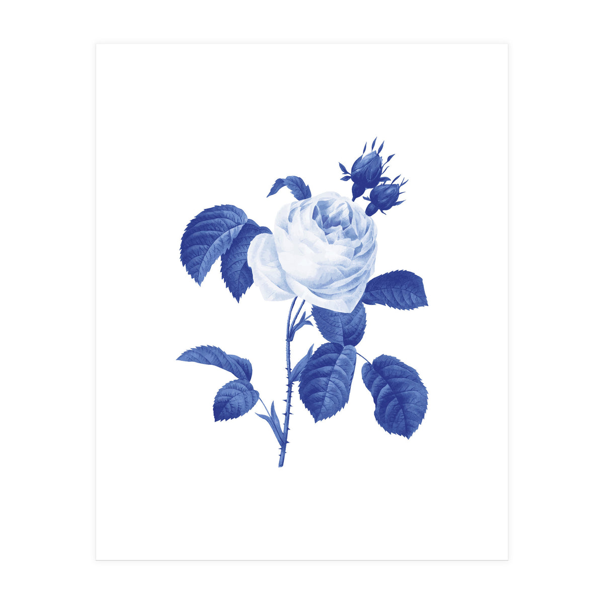 Blue Botanic I (Print Only)